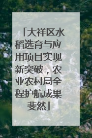大祥区水稻选育与应用项目实现新突破，农业农村局全程护航成果斐然