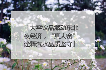 大窑饮品燃动东北夜经济，“真大窑”诠释汽水品质坚守