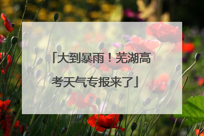 大到暴雨！芜湖高考天气专报来了