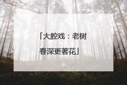 大腔戏：老树春深更著花
