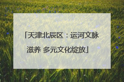 天津北辰区：运河文脉滋养 多元文化绽放
