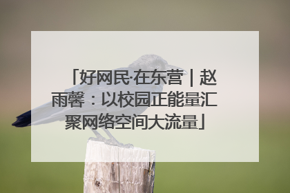 好网民·在东营｜赵雨馨：以校园正能量汇聚网络空间大流量
