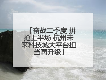 奋战二季度 拼抢上半场 杭州未来科技城大平台担当再升级
