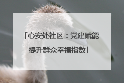 心安处社区：党建赋能 提升群众幸福指数