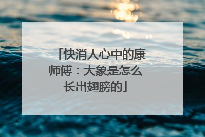 快消人心中的康师傅：大象是怎么长出翅膀的