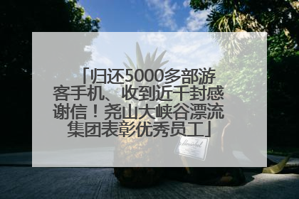 归还5000多部游客手机、收到近千封感谢信！尧山大峡谷漂流集团表彰优秀员工