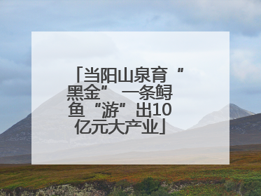 当阳山泉育“黑金” 一条鲟鱼“游”出10亿元大产业