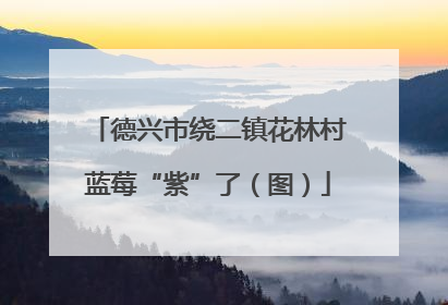 德兴市绕二镇花林村蓝莓“紫”了（图）