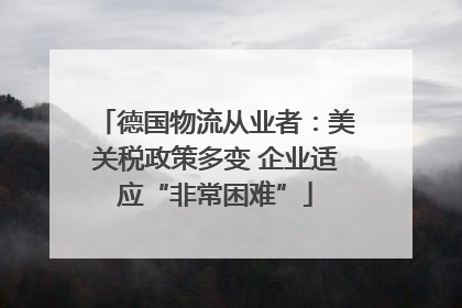 德国物流从业者：美关税政策多变 企业适应“非常困难”