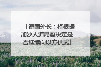 德国外长：将根据加沙人道局势决定是否继续向以方供武