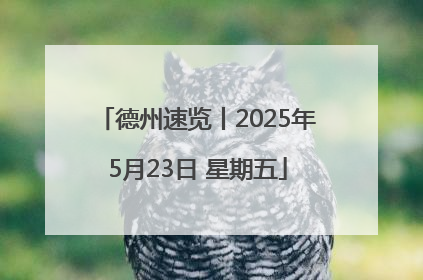 德州速览丨2025年5月23日 星期五