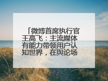 微博首席执行官王高飞：主流媒体有能力带领用户认知世界，在舆论场中搭建理性的讨论空间