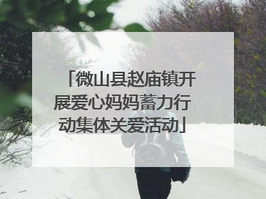 微山县赵庙镇开展爱心妈妈蓄力行动集体关爱活动