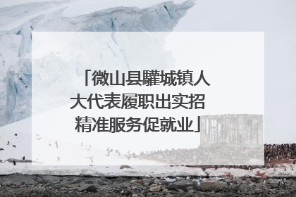 微山县驩城镇人大代表履职出实招精准服务促就业