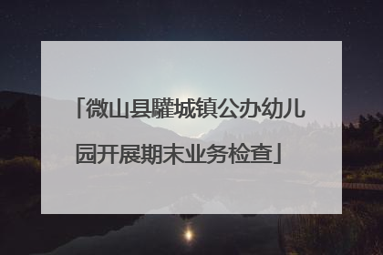 微山县驩城镇公办幼儿园开展期末业务检查