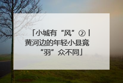 小城有“风”②丨黄河边的年轻小县竟“羽”众不同