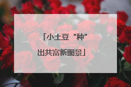 小土豆“种”出共富新图景