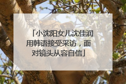 小沈阳女儿沈佳润用韩语接受采访，面对镜头从容自信