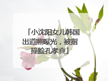 小沈阳女儿韩国出道照曝光，被指撞脸孔孝真