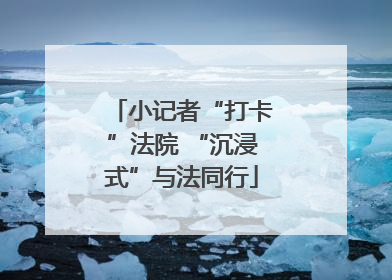 小记者“打卡”法院 “沉浸式”与法同行