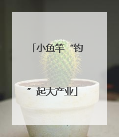 小鱼竿“钓”起大产业