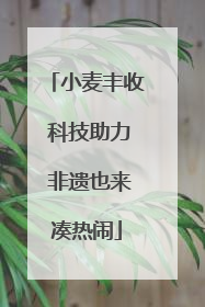 小麦丰收 科技助力 非遗也来凑热闹