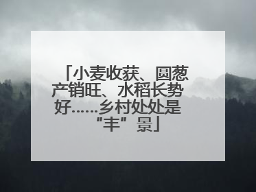 小麦收获、圆葱产销旺、水稻长势好……乡村处处是“丰”景