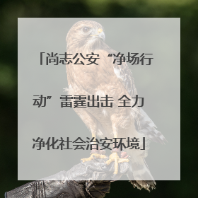 尚志公安“净场行动”雷霆出击 全力净化社会治安环境