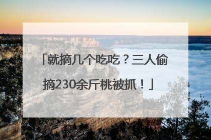 就摘几个吃吃？三人偷摘230余斤桃被抓！