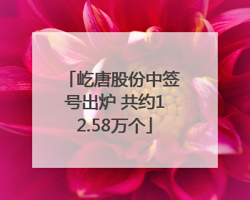 屹唐股份中签号出炉 共约12.58万个