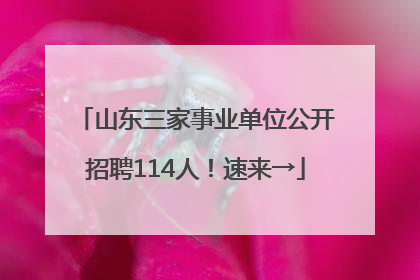 山东三家事业单位公开招聘114人！速来→