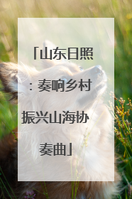 山东日照：奏响乡村振兴山海协奏曲