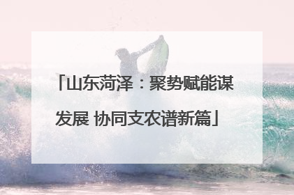 山东菏泽：聚势赋能谋发展 协同支农谱新篇