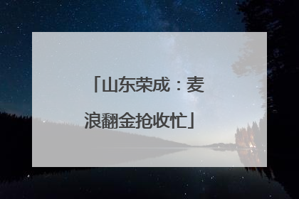 山东荣成：麦浪翻金抢收忙