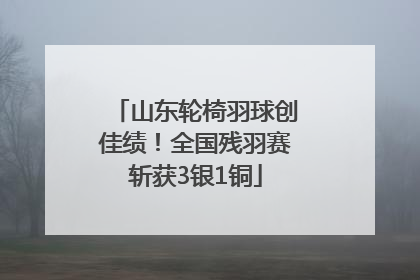 山东轮椅羽球创佳绩！全国残羽赛斩获3银1铜