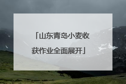 山东青岛小麦收获作业全面展开