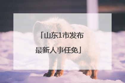 山东1市发布最新人事任免