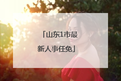 山东1市最新人事任免