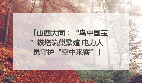 山西大同：“鸟中国宝”铁塔筑巢繁殖 电力人员守护“空中来客”