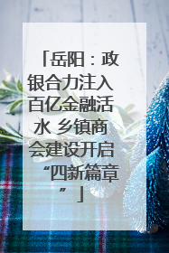 岳阳：政银合力注入百亿金融活水 乡镇商会建设开启“四新篇章”