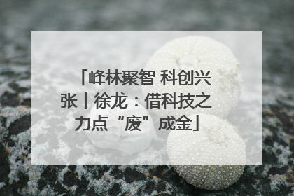 峰林聚智 科创兴张丨徐龙：借科技之力点“废”成金