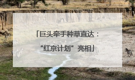 巨头牵手种草直达：“红京计划”亮相