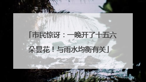 市民惊讶：一晚开了十五六朵昙花！与雨水均衡有关