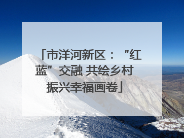 市洋河新区：“红蓝”交融 共绘乡村振兴幸福画卷
