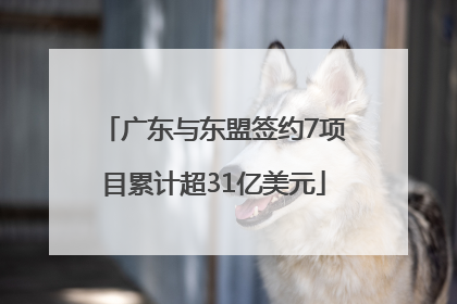 广东与东盟签约7项目累计超31亿美元