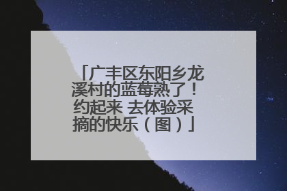 广丰区东阳乡龙溪村的蓝莓熟了！约起来 去体验采摘的快乐（图）