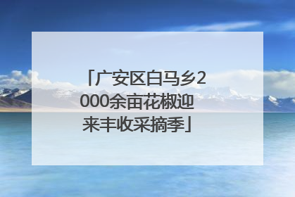 广安区白马乡2000余亩花椒迎来丰收采摘季