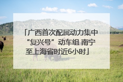 广西首次配属动力集中“复兴号”动车组 南宁至上海省时近6小时