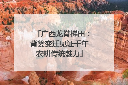 广西龙脊梯田：背篓变迁见证千年农耕传统魅力