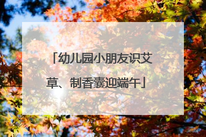 幼儿园小朋友识艾草、制香囊迎端午
